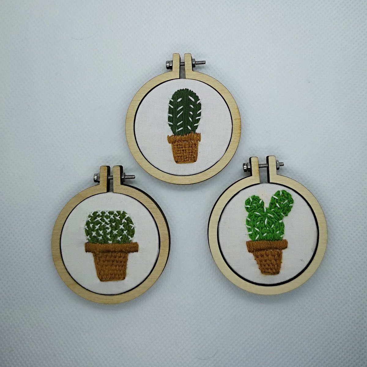 A trio of cacti!