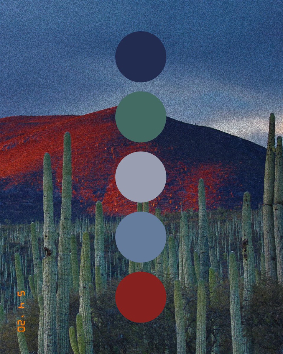 Element5Digital's tweet image. It's Cinco De Mayo! If you're celebrating, let us know how in the comments below 👇