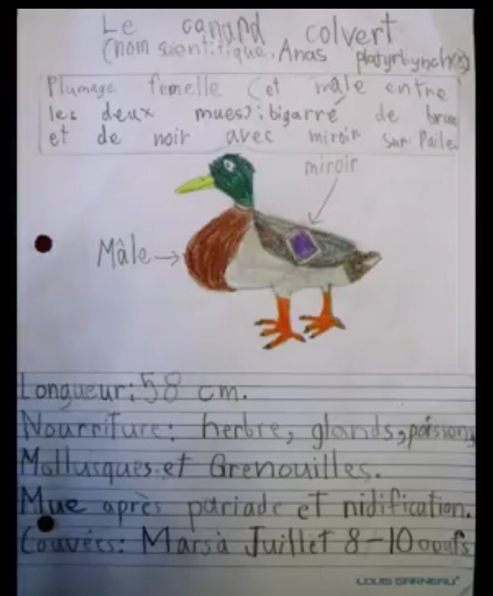 Après avoir présenté aux enfants différentes façons d’écrire sur une nouvelle connaissance, voici ce que je reçois d’un enfant. J’étais littéralement bouche bée! Chapeau Albert!

app.seesaw.me/pages/shared_i…