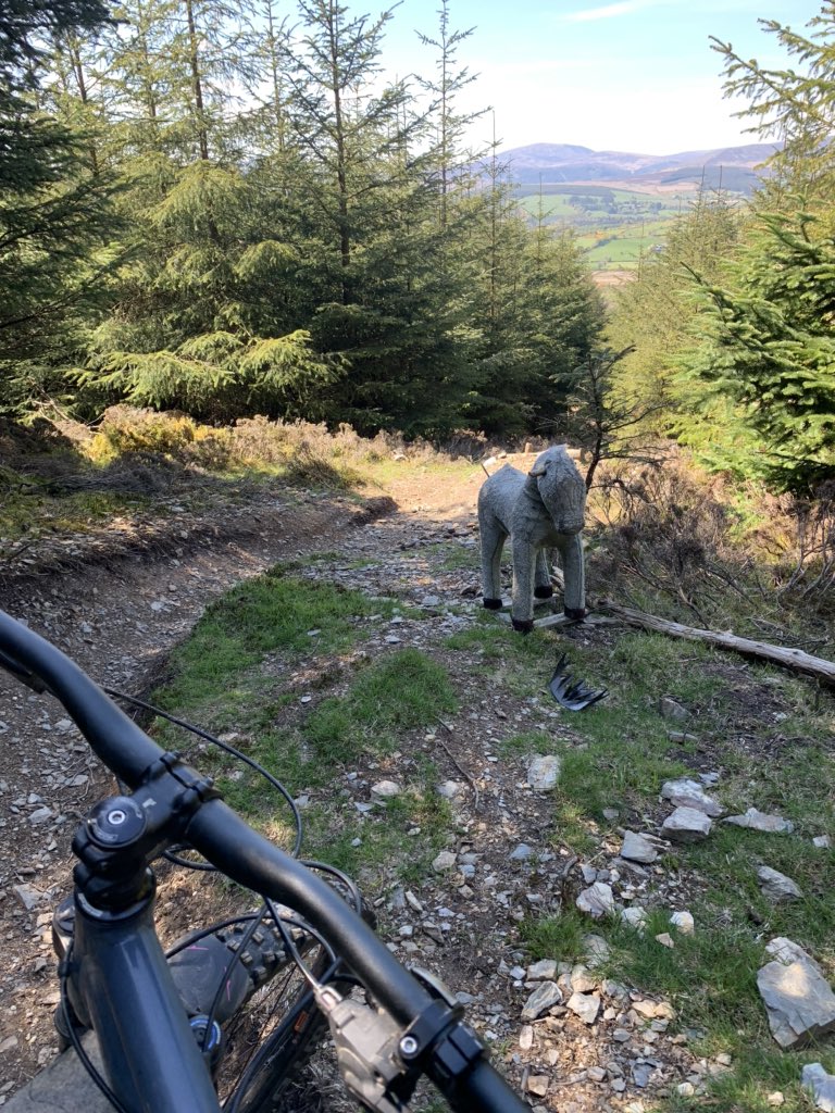 JuJuJay3's tweet photo. What a beautiful sunny day for my 22km mountain bike spin around my local trails &amp; bike tracks too - what more can I ask for 🤟 😎🚲✌️☀️🌳 #mtblife #mtber #suuntoride #jujujay #relive #hapoyout #getoutside #5kzone #ragleybikes #hardtail https://t.co/gCOlLwJLOW