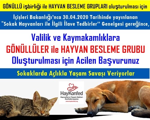 _MuammerTAKIS's tweet photo. Derneğimiz @FeqiDerr ve bünyesinde bulunan komisyonlar adına @HAYKON_Official göstermiş olduğu sorumluluk temsili çalışmalarından dolayı takdir ediyor sonsuz teşekkürlerimi sunuyorum. İyi'ki varsınız https://t.co/gQVhmX7zSf