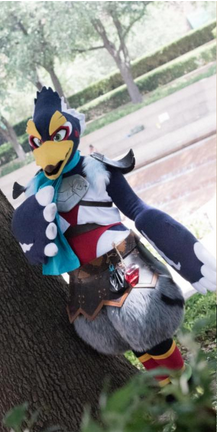 Moon2Umbriel's tweet photo. #legendofzelda Revali Fullsuit #loz  [Includes armor as-is] @TheDealersDen 

#BOTW The legs can have more fleece added for length.!https://t.co/FaWOgYhjVt

#thedealersden #fandom #auctions https://t.co/NJ6qatN6S6