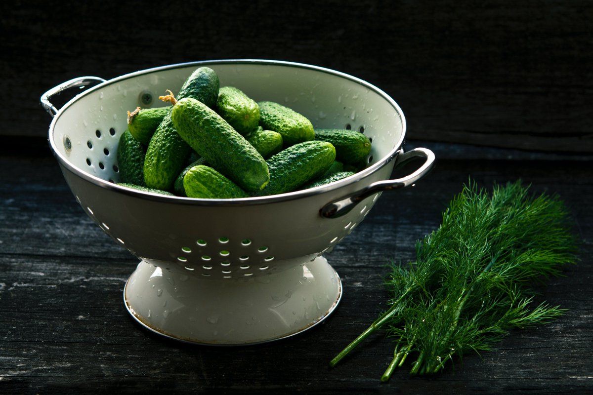 TerraHealth_'s tweet photo. Why #Probiotics Are The Answer To Your Gut Health https://t.co/OEt7MQPcTC #healthygut #digeston #nutrition #acidreflux #bloating #guthealth #healthygut #healthyliving #healthsupplements https://t.co/P2bloen4Hk