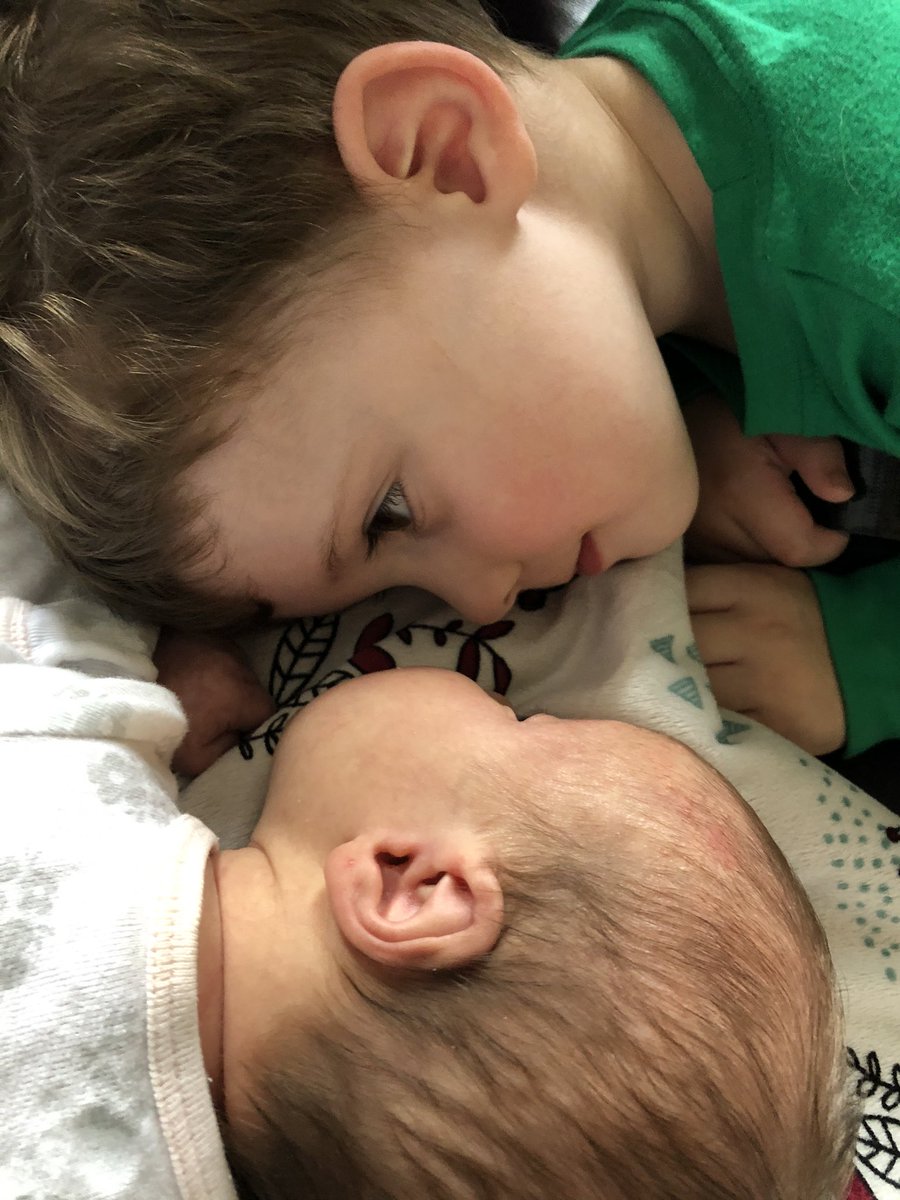 Carly Solberg tweet media