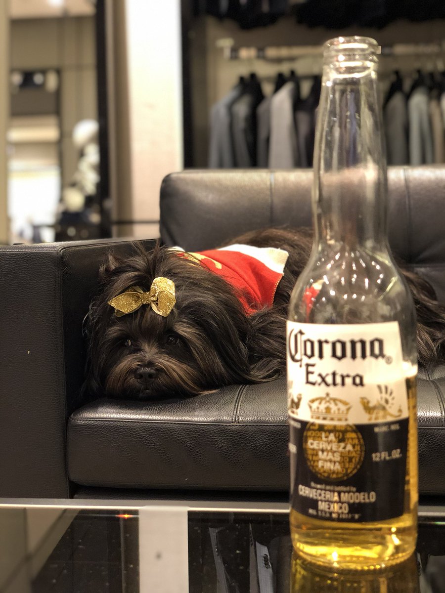 #CincoDeMayo falls on a #TacoTuesday in the middle of a #pandemic named after a Mexican beer. Oh the irony 💩🤣 #CincoAtHome