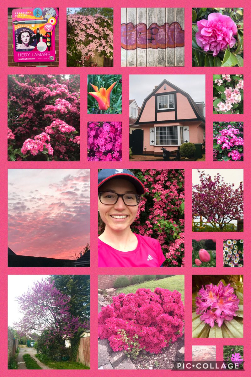 LER9879's tweet image. 🌈 🏃‍♀️ Last but not least... PINK 💗  thanks to those who joined me in searching for colours.  I enjoyed my rainbow runs and hope it helped to brighten up your days even a little.