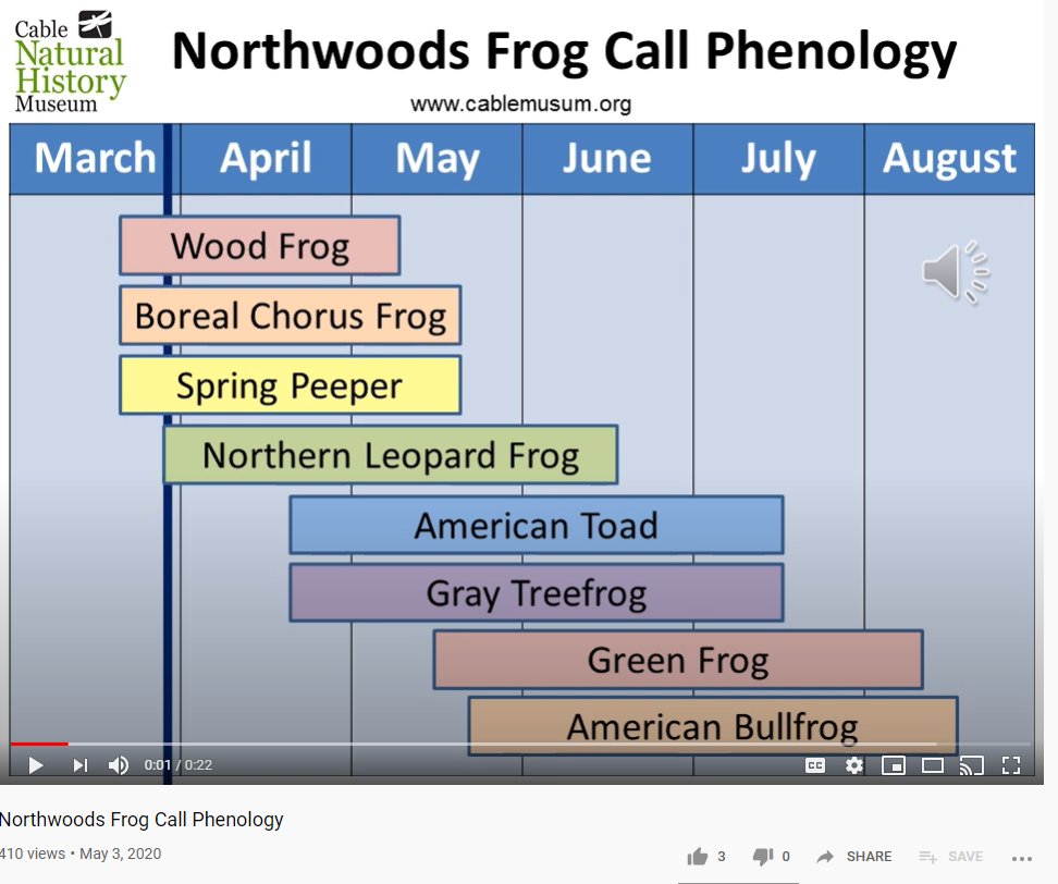Volunteer4Birds's tweet photo. Kudos to @CableNHMuseum for this handy auditory version of the frog call phenology chart.  The #MMPSurvey and #wetland folks should definitely try it out. 
https://t.co/Se0WwgNqzB https://t.co/7LNPFnfuws