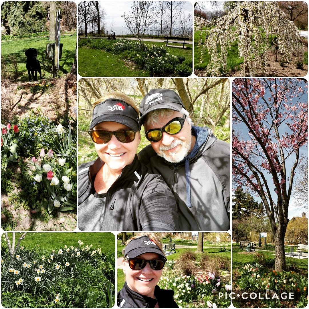 KarenGeterdone's tweet photo. 10k 🌞 watching Spring bloom 🌺
Day 5 total of 42km
We're sore 😑
#GVRAT1000k
#Comeback2020 #CovidGoals #VirtualDistance #58rising #Geterdone https://t.co/IcJXinJlKg