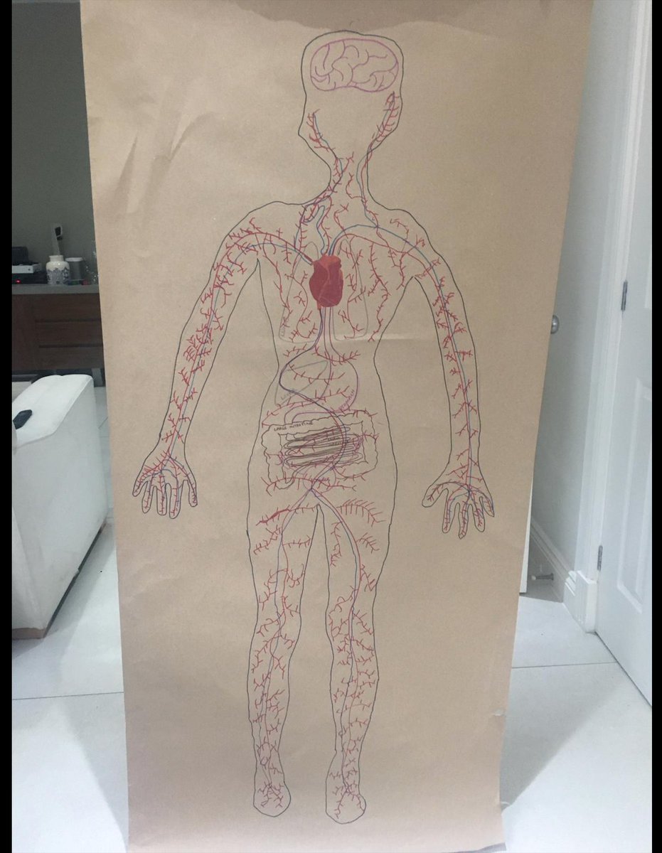 prospecths's tweet photo. Y6 learning about the blood vessels in the body #PHS #AllAboutTheScience #TheLearningNeverStops #CheckThisOut https://t.co/VX8FAJocTd