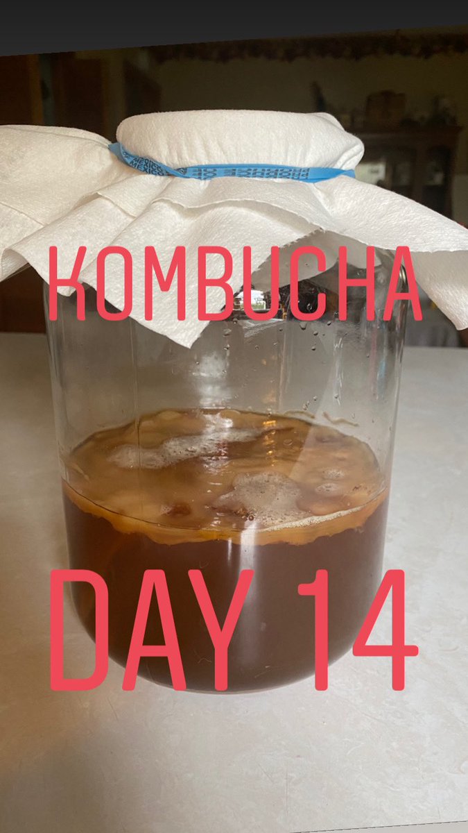 Who’s ready from some homemade booch? I know I am #kombucha #brew #HealthyLiving