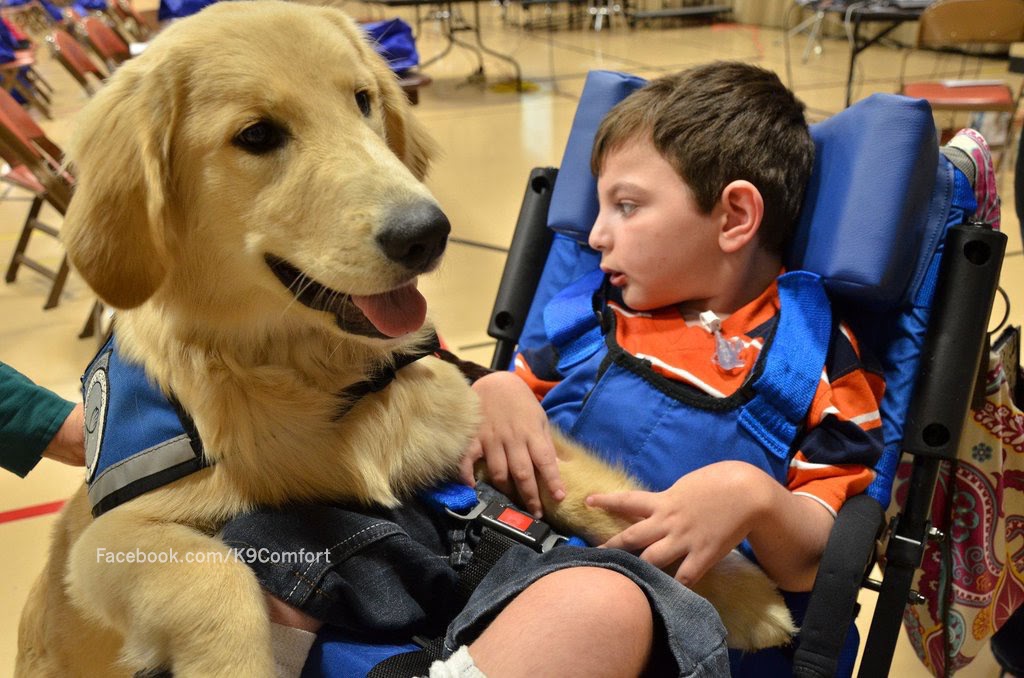 K9ComfortDogs's tweet photo. #throwback
Please help us serve by donating at https://t.co/SV12Q1Y7ma

#GivingTuesdayNow #GivingTuesday #charitytuesday #comfortdogs #comfortthread https://t.co/36BXIj9RCL