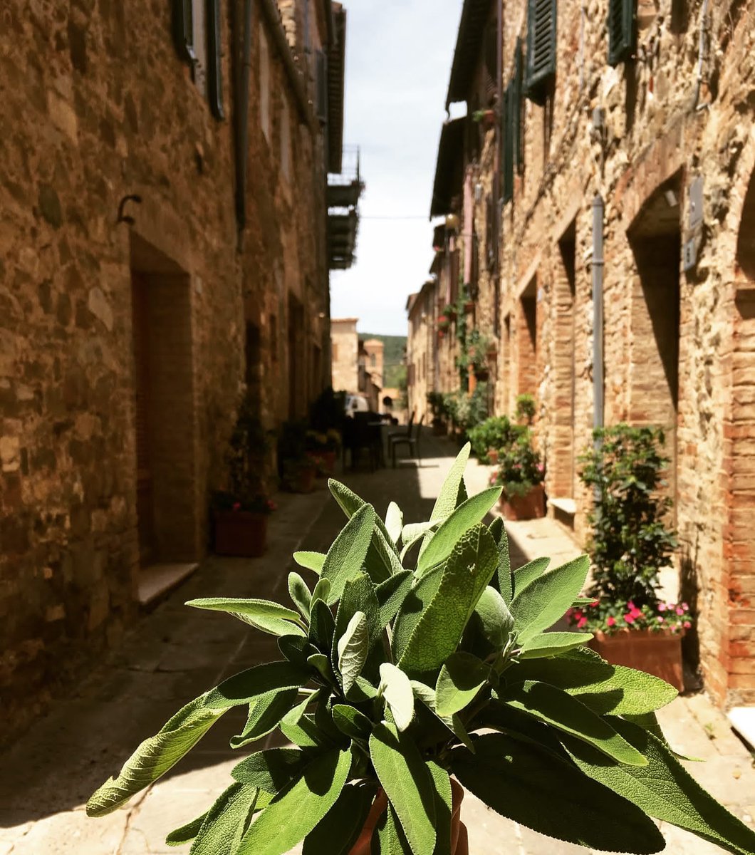 Only in Tuscany... Amazing medieval borgo surrounded by nature where people can discover the peace of sences in the most simple things 🌿
#PodereSantAlessandro 
#BorghettoMontalcino #tuscany #Italy