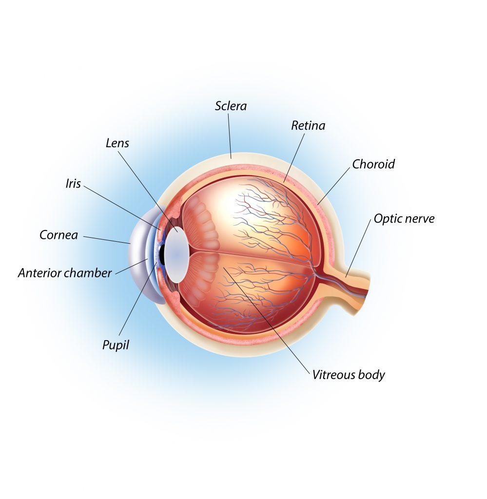 UKBicom's tweet photo. Many eye problems have been successfully treated with Bioresonance therapy. If you are using a Bicom Bioresonance device, and are helping someone with an eye condition, the following the therapy guide might be helpful.
A-Z Therapy Guide | Eyes | BicomUK  https://t.co/ZVyv1hKO9Y https://t.co/CHA1kUW9Rb
