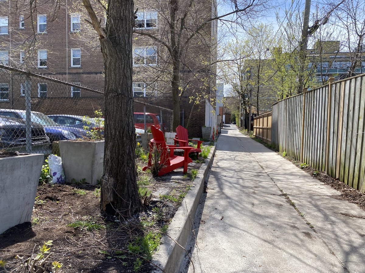 biltonlaneway's tweet photo. Fern return, columbine seeds bear fruit, Solomon’s seal emerging #slowlane #raspberrycane #May #TOstpauls https://t.co/tjMWWATTQL