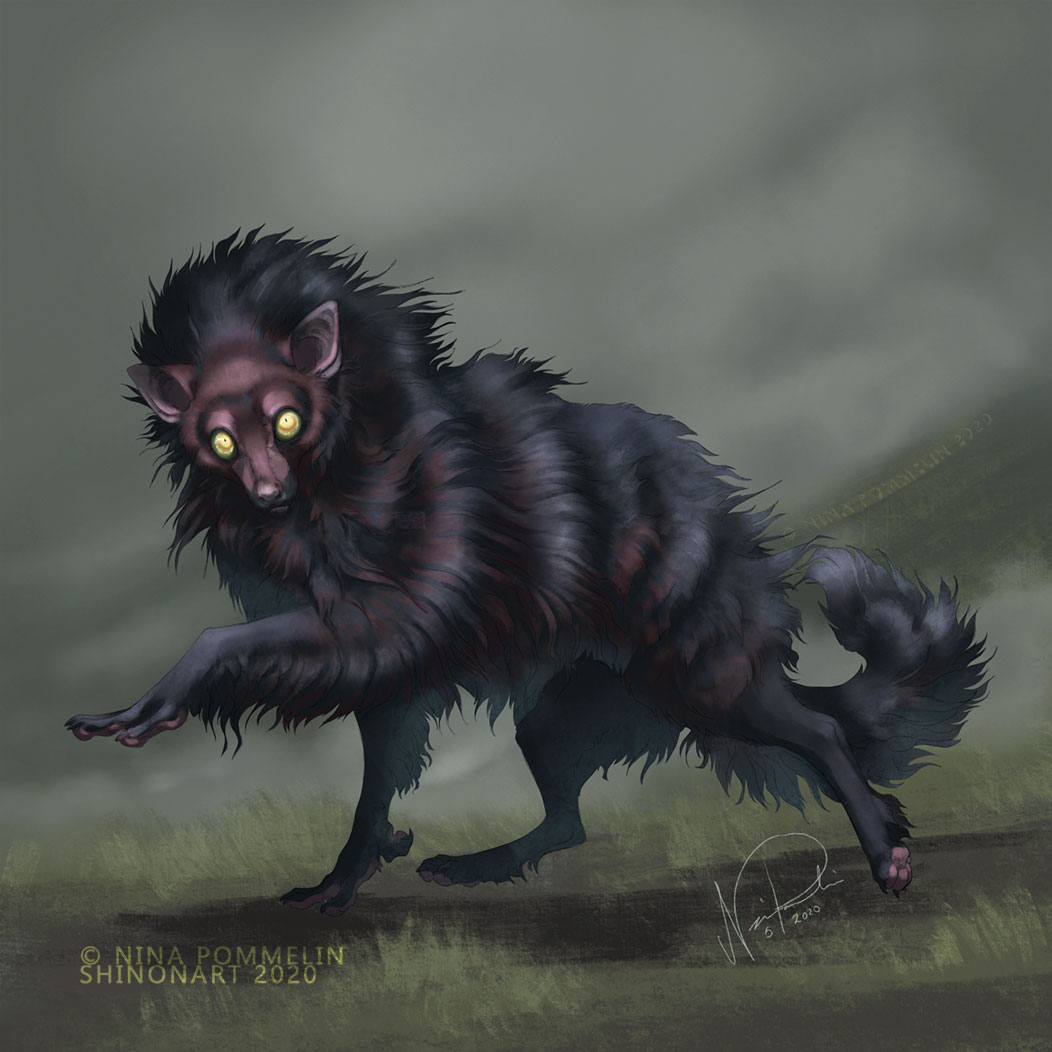 NinaPommelin's tweet photo. #ShugMonkey for #MythicMay! In the folklore of Cambridgeshire this creature is said to haunt Slough Hill Lane. It's described to have the body of a shaggy black sheep dog and the head of a monkey with huge shiny eyes. My brain just registered "huge shiny eyes" and went "aye-aye". https://t.co/bNmYuDziDY