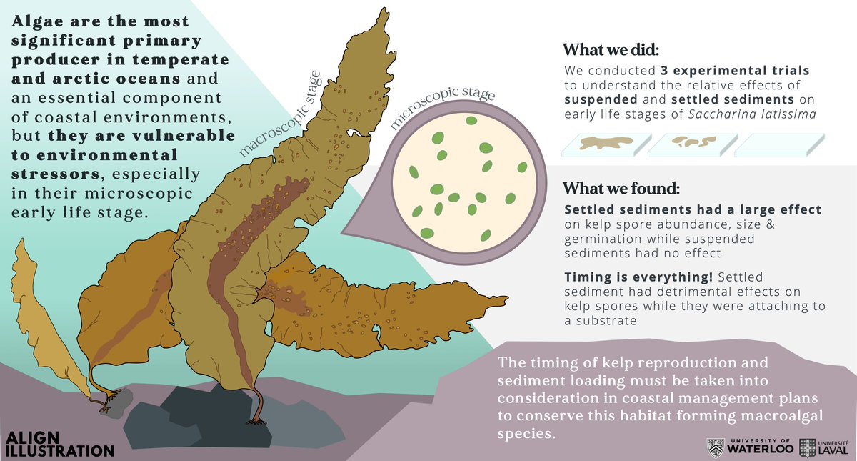 alignillustrate's tweet photo. Amidst these crazy times we are happy to announce the birth of Align Illustration! Specializing in #infographic design, we provide a visual way for researchers to communicate their findings to academic and non-academic partners. Here’s what we’ve been up to lately 🌊 #scitwitter https://t.co/Hk6qsKayGl
