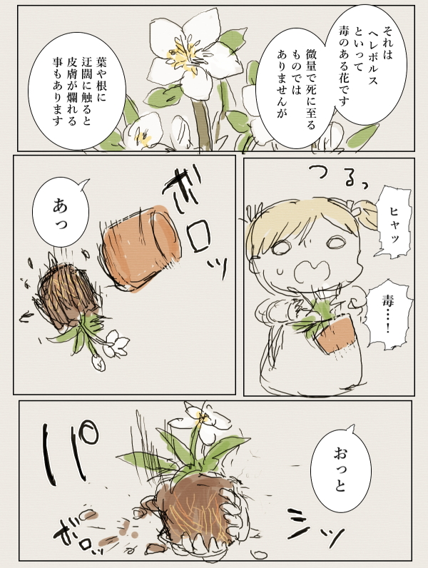 [PFAOS] ヘレボルスの花

オフの日に出かけたヘレボルスとコランバインさんが花屋に立ち寄る話。 