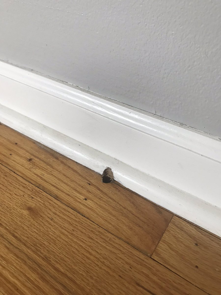 wohillsart's tweet photo. This hole in the floor has always bugged me. #repairchallenge was the catalyst I needed to turn this “negative” into a “positive.” #C4PZCMA https://t.co/WQxPRYYcOd