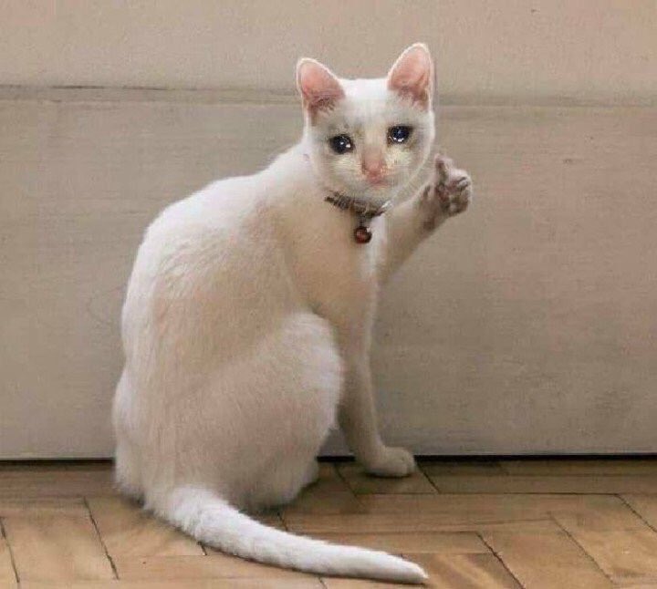 PfictionY23's tweet photo. ในช่วงที่กำลังเศร้ายังมีนิยายน่ารักๆให้อ่าน เรื่องนี้ดีๆๆๆๆ พระเอกคือซึน(?) นายเอกคือน่ารัก ฟีลกู๊ดจัดๆ เข้านิยายที่ควรอ่านอีก1เรื่อง 
พิกัด: จอยลดา
#นิยายวาย
#นิยายในคลังของตัวp https://t.co/v8xIlWKpFd