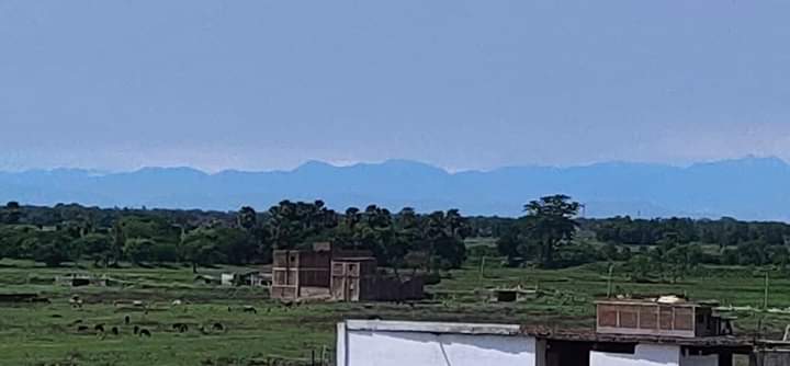 ulikedhan2's tweet photo. माता सीता जन्मभूमि सीतामढ़ी जिले में छत से #MtEverest देख कल लॉक डाउन में प्रकृति खुद को संतुलित होने से नेपाल के नज़दीक वाले पहाड़ तो साफ मौसम में कभी कभी दिख जाते थे। हिमालय के दर्शन बहुत साल बाद फिर हुआ
#NatureisBalancing
@KashishBihar @officecmbihar @BJP4Bihar @PMO_NaMo https://t.co/dnNLggVBdh