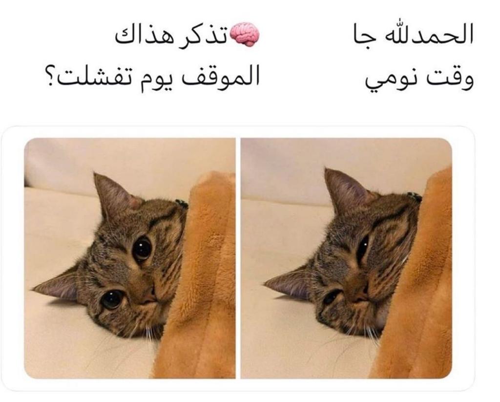 فـــــنـن🇾🇪❤ (@fn74_k) on Twitter photo 