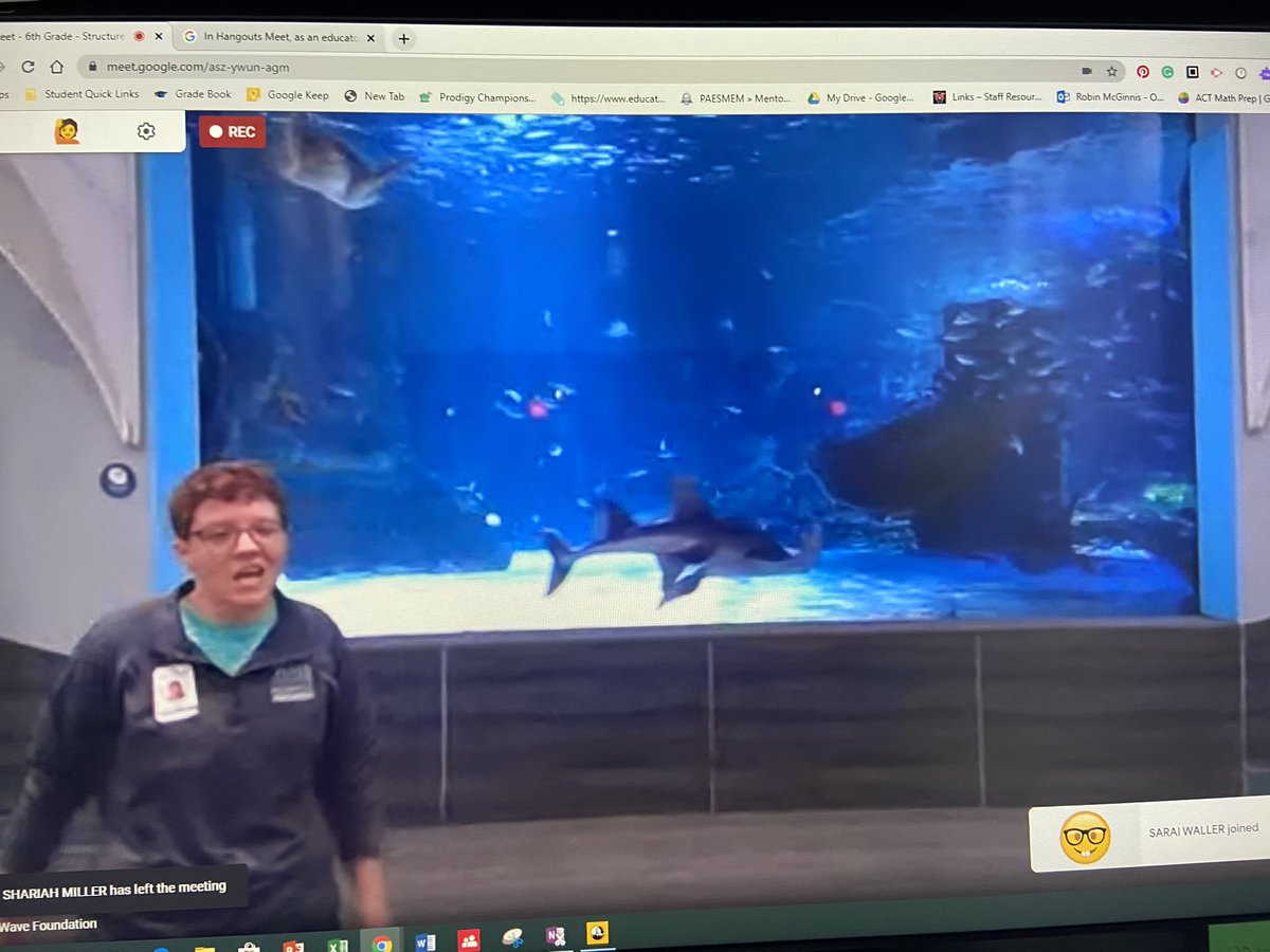 Mcscience348's tweet photo. Day 2: 4-8 virtual classroom got to visit the #NewportAquariums shark tank! OMG what wonderful participation! #Mthcsproud if the wonderful questions! Looking forward to additional field trips next week! Thanks Erin w/#wavefoundation for the learning opportunity! #MyOhioClassroom https://t.co/8UqJA8XYBk