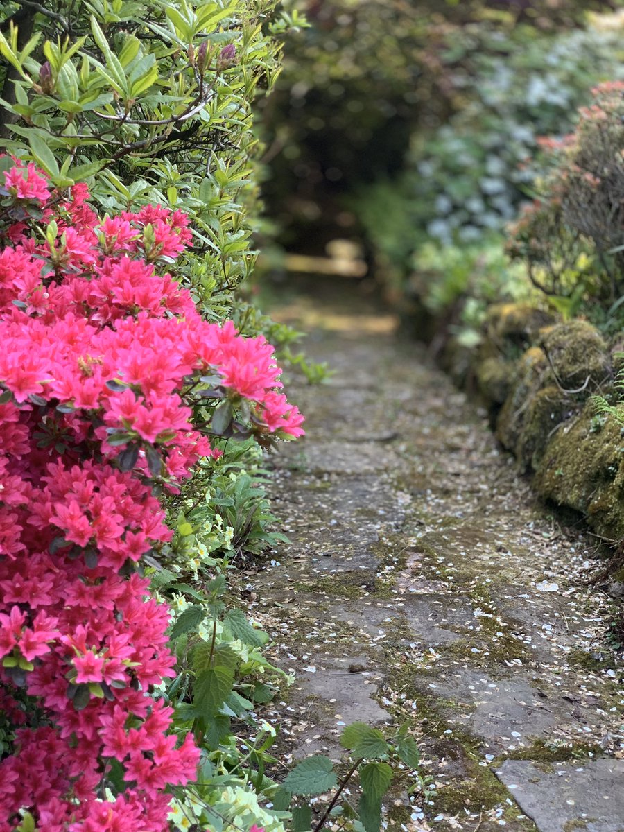 Dental Academy tweet media