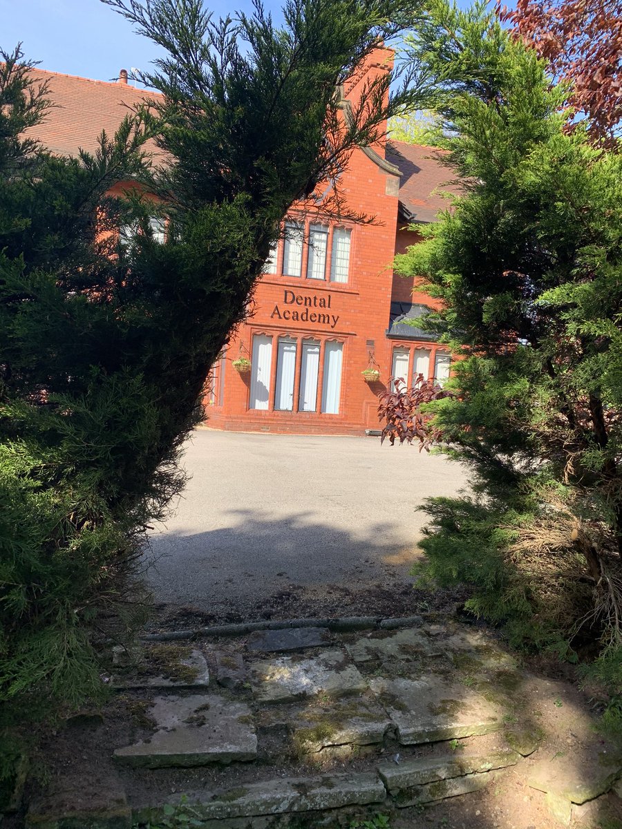 Dental Academy tweet media