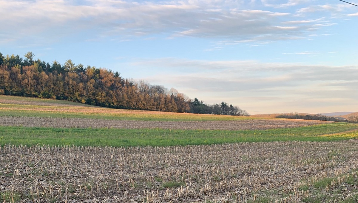 Thinking_Energy's tweet photo. .@RepFredKeller "Our agricultural community has answered the call to continue keeping our food supply open and Americans fed despite the unique circumstances they face as a result of #COVID19." #PA12 #ThinkAboutEnergy https://t.co/jolirpuSKx