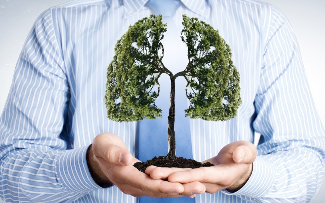 Trees help to clean the air we breath and add enjoyment to our walks and other outdoor activities during social distancing. #GivingTuesdayNow takingroot.info