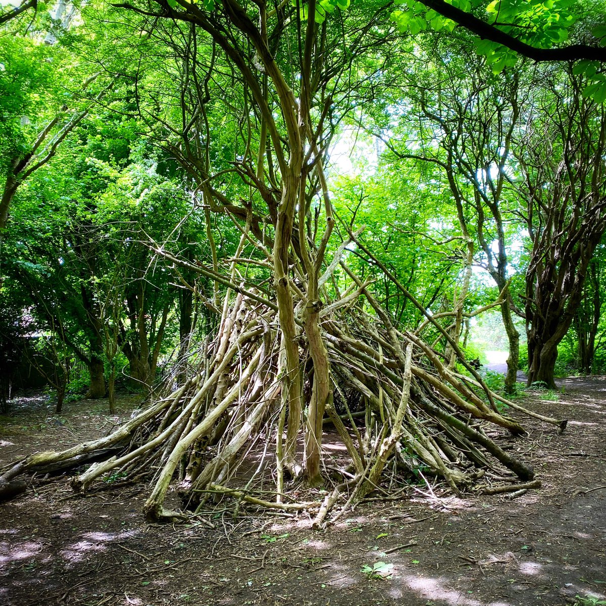 Mark Schofield tweet media