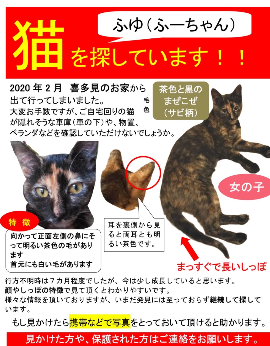 内祝い サビ猫様 確認用 ワンピース Www Thjodfelagid Is
