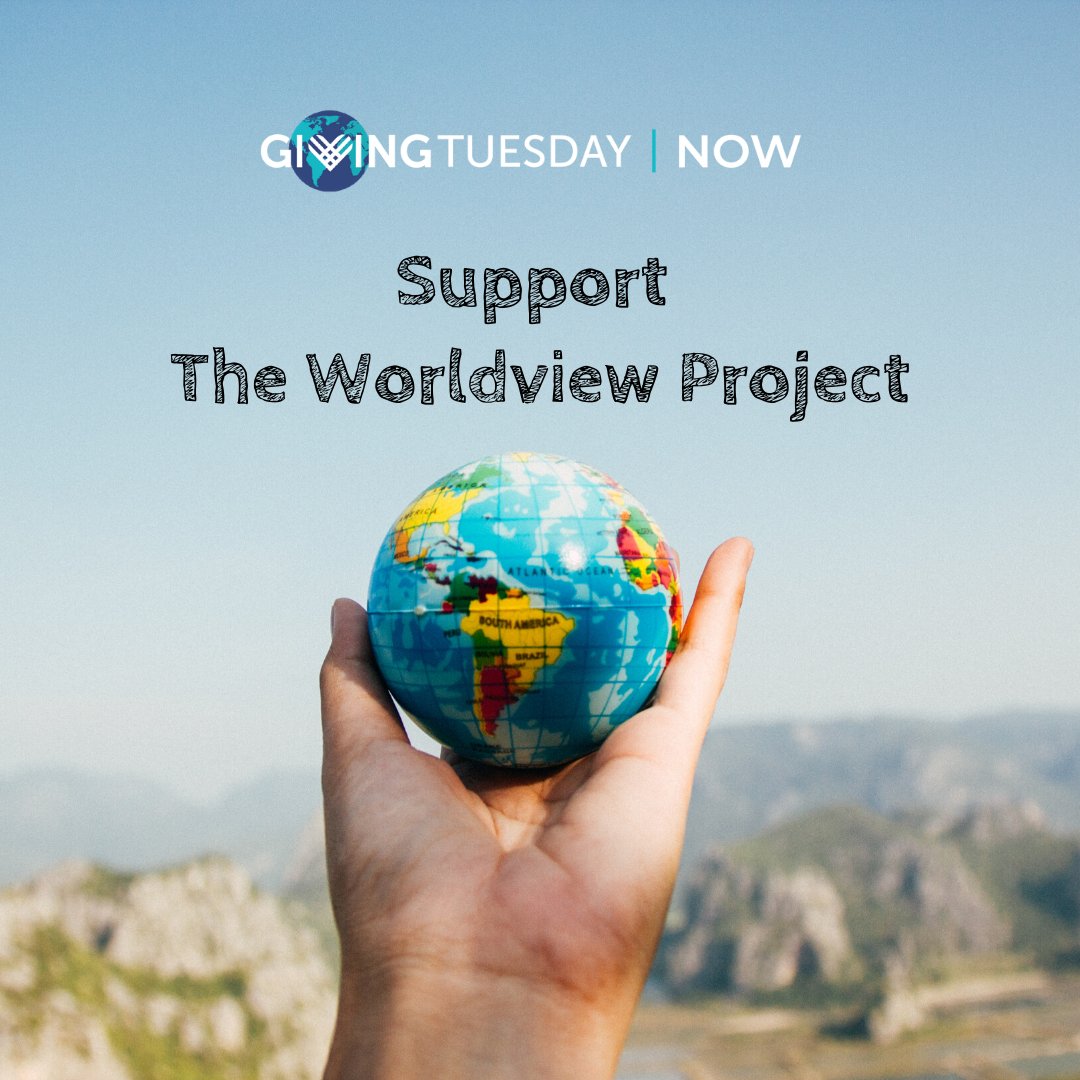 🌎 The Worldview Project has been promoting greater cross-culture awareness for almost 20 years. Today, we hope you can join us on this #givingtuesdaynow to support our organization.  Donate now: paypal.com/us/fundraiser/…