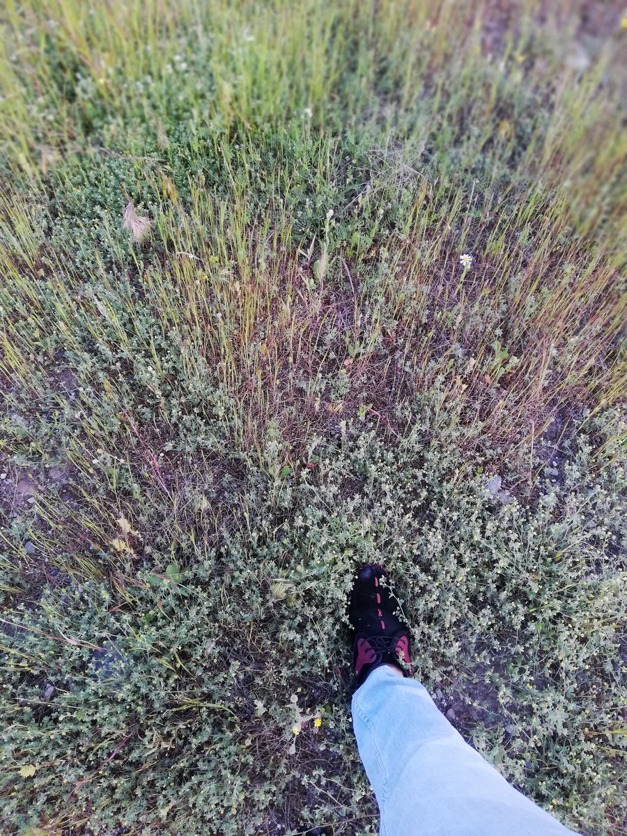 Temiz havada yürüyüş gibisi yok. Çemremizi temiz tutalım doğayı koruyalım ✌️
