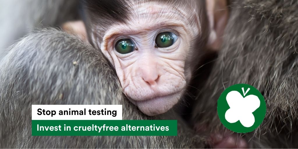 Party4Animals's tweet photo. In #race for anti-#COVID19 #vaccines many #laboratory animals are used. #AnimalTesting is inefficient and cruel. 85% of all medical animal tests do -not- yield results for humans. Better and #CrueltyFree alternatives exist. Read more on https://t.co/tFp3a5eFij 

#animalpolitics https://t.co/U9ImlHaLB2