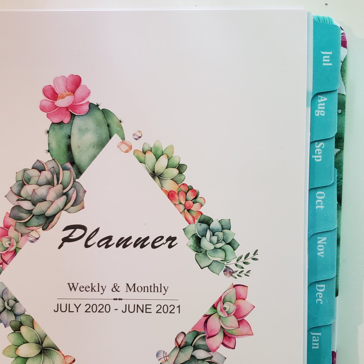 My friend ordered a 2020/2021 planner off Amazon ...
The entire planner starts at July 2020. Sounds about right.