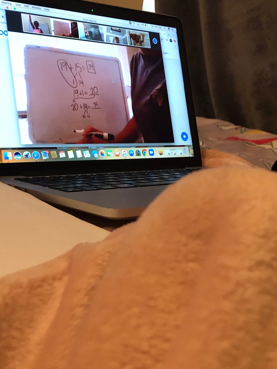 IngridReado's tweet photo. Dallas is enjoying her Zoom meeting with her teacher. #msaw #goingoverandbeyond #zearn #readosworld https://t.co/2T5PTijFOh