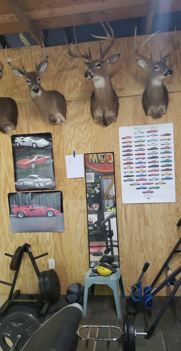 Now its a real "weight room" since I added some posters😂