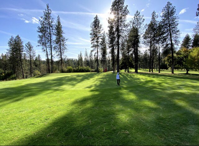 SpokaneNadine's tweet photo. It’s a beautiful day to hit the links. City of Spokane golf courses are OPEN!!! So proud of our Parks Department for creating and implementing a plan to ensure safety for our employees and the golfing community. https://t.co/7kbh5mTI9k