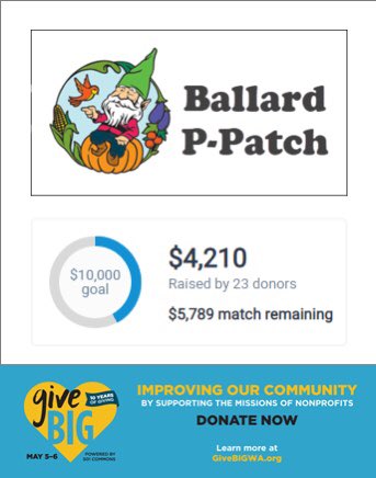 Ballard P-Patch tweet media