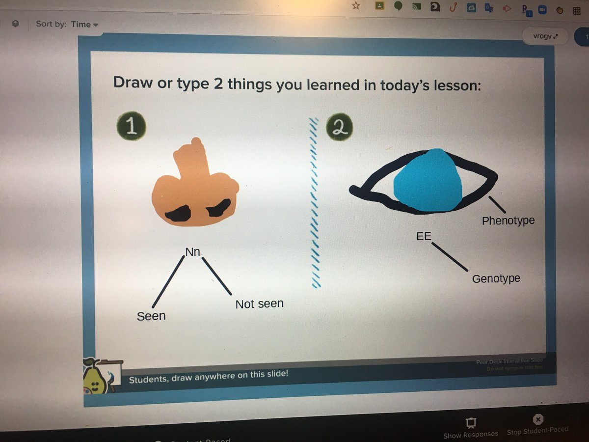 <a href="/MrsDonch/">Denise Donch</a> and I tried <a href="/PearDeck/">Pear Deck Learning</a> for the first time today. Love the creativity from our students and the real-time feedback!
