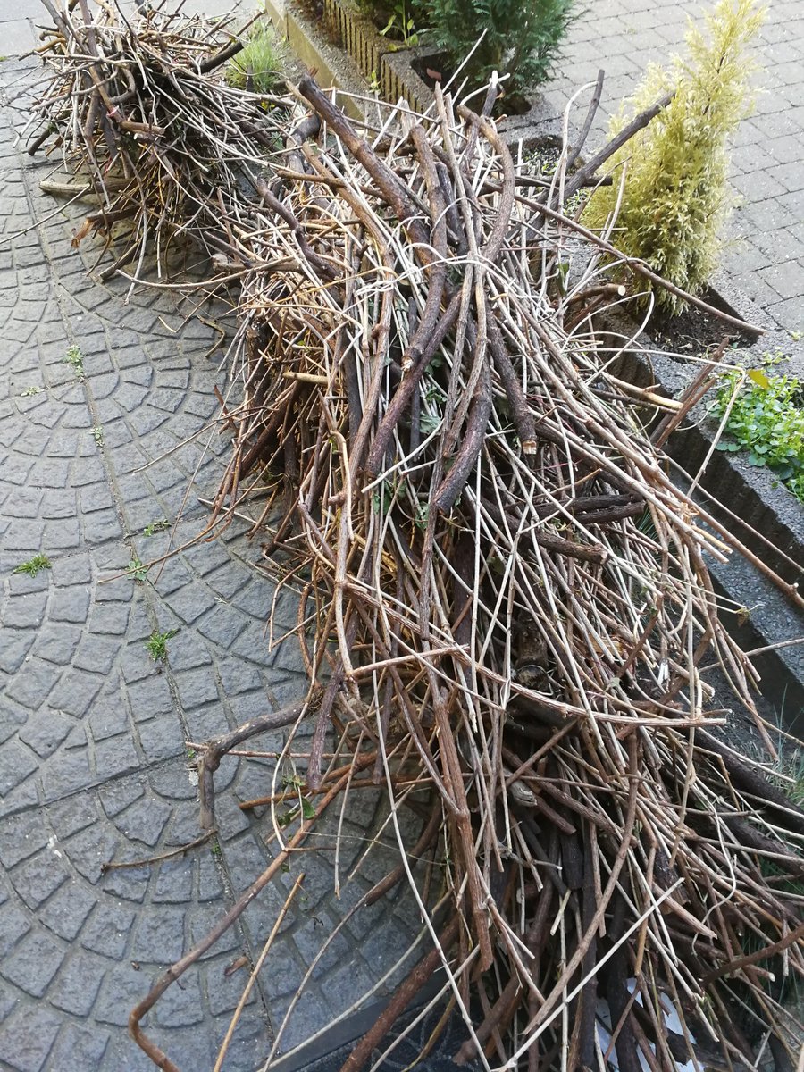 Hey <a href="/Stad_Antwerpen/">Stad Antwerpen</a> waarom hebben jullie dit deze keer niet meegepakt? Twee weken geleden wel. Op de website staat toch nog steeds dat jullie snoeihout meepakken... 🤷‍♂️