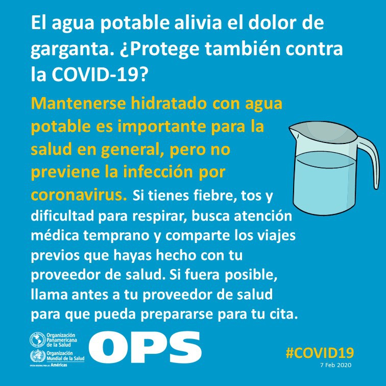 ONU_es's tweet photo. El agua potable con o sin limón NO protege del #coronavirus.

No dejes que la desinformación se haga viral. Comparte datos, no rumores. https://t.co/8fItyBAF5z https://t.co/lIXdpSPXHL