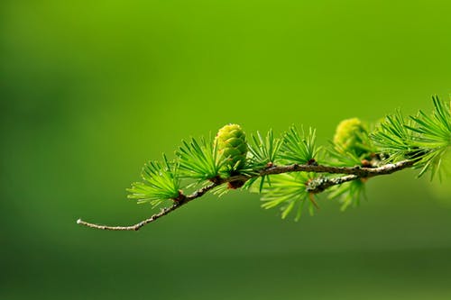 maroca69's tweet photo. My thoughts are too small to contain Knowledge.

Allow, then, for Knowledge to be mysterious so that it may yield its gifts to you without restraints.

https://t.co/r8HSBSDbYF
#Step200
#StepsToKnowledge
@godsnewmessage 
@marshallsummers https://t.co/m9yBZf4gYS