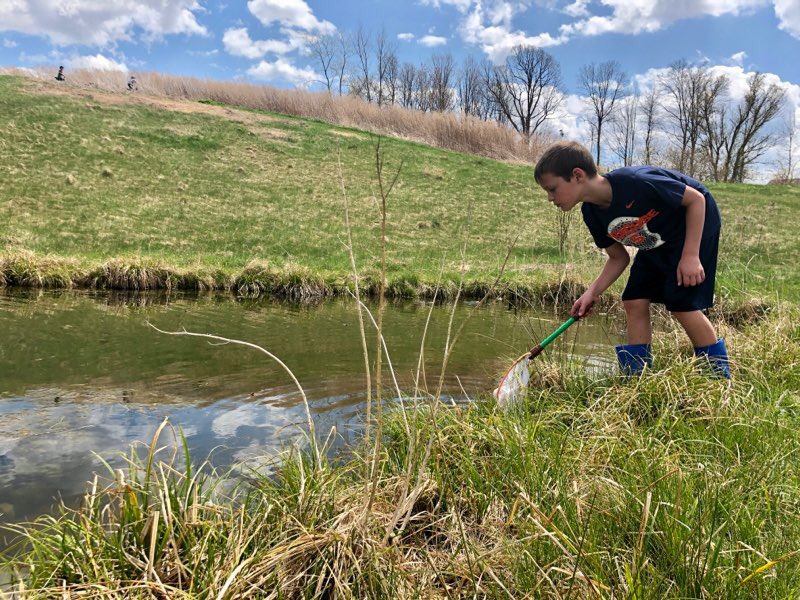 Victor Primary tweet media