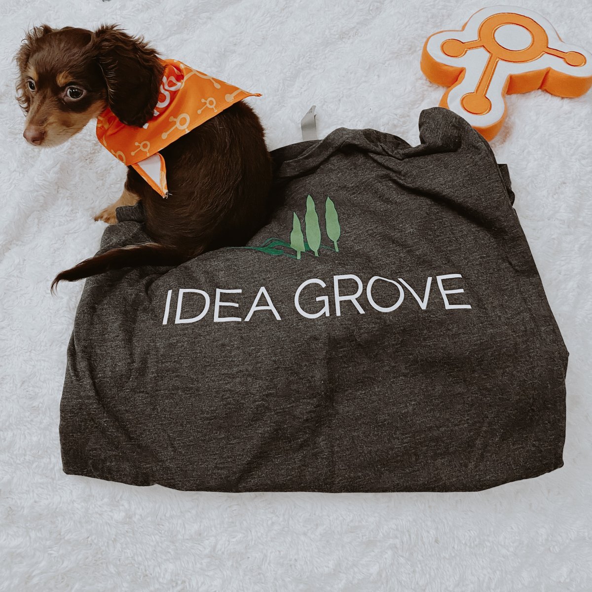 IdeaGrove's tweet photo. Mark your calendars for a virtual HubSpot User Group with @dantyre from @HubSpot on May 19th. This @DFW_HUG session will cover aligning sales and marketing to work together for maximum yield. Reserve your spot here: https://t.co/dfe4dBoTzl #Sales #Marketing #HubSpot #Virtual https://t.co/sdy3wj3zOx