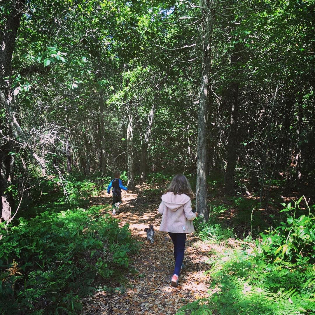 LandTrustMS tweet media