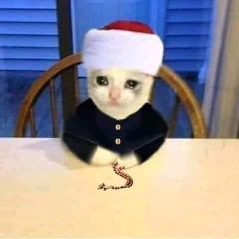 ndosh27624997's tweet photo. والنعمه بناكل لحمه وفراخ
مكلناش خفافيش والله #اقاله_وزير_التعليم_العالي  #النجاح_التلقائي  #ناجح_تلقائي  #أضمن_النجاح_بقدم_فاينال https://t.co/hujZh4n9SX