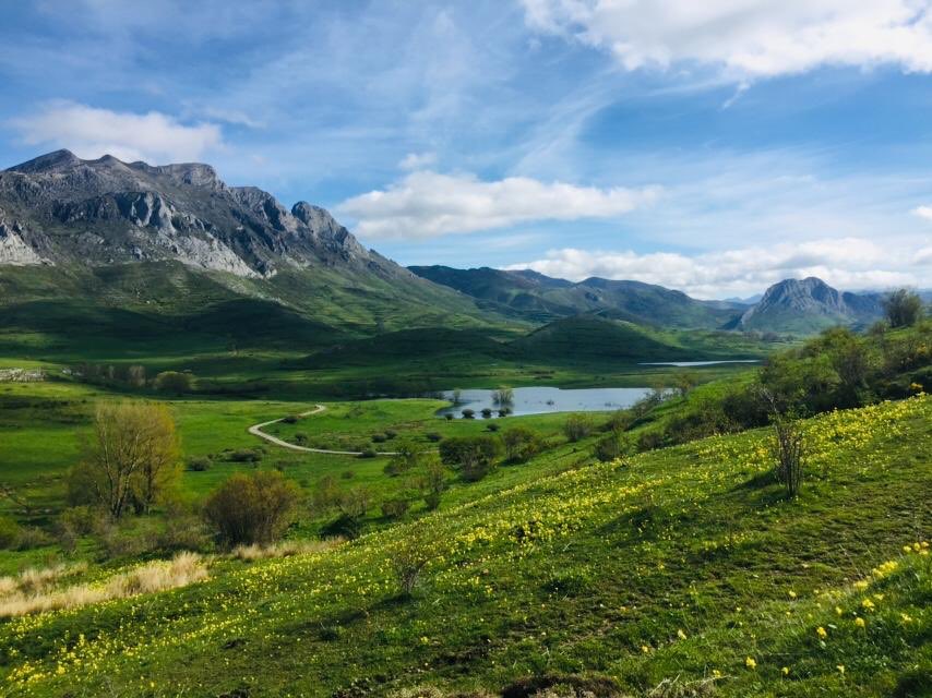 altobernesgabio's tweet photo. #Primavera2020 en el @altobernesgabio valle de Arbas, zona núcleo @oapngob @UNESCO_es @CyLesVida @diputacionleon @turisleonesp @ElViajero_Pais @PaisajeLimpio @mitecogob @turismoleon @SoyEcoturista @parajesxvisitar https://t.co/rQ8a28zG4I