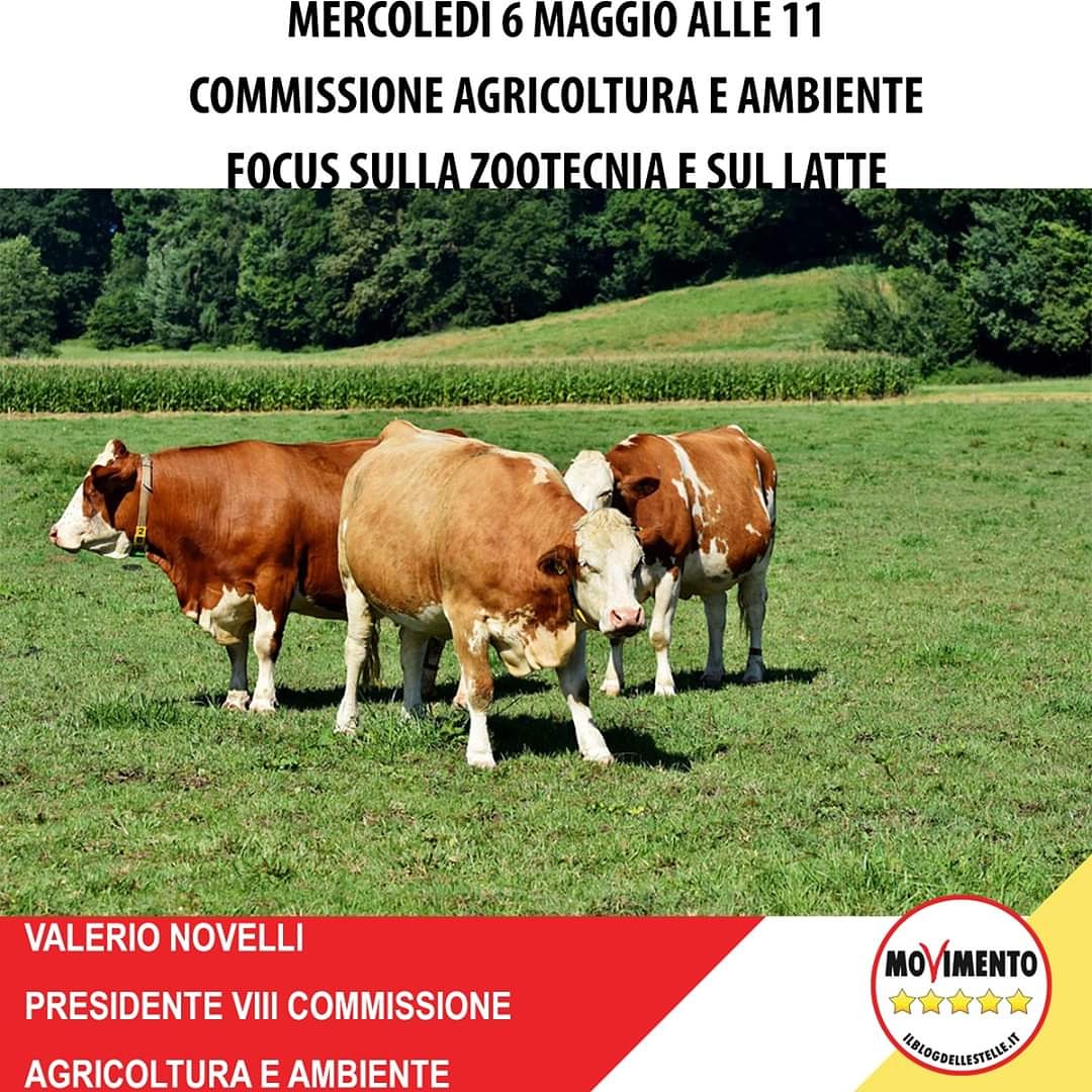 novelli5stelle's tweet photo. Domani 6 maggio focus sulla produzione di #latte nel settore zootecnico con @coldiretti @Confagricoltura @Cia_Agricoltura e @Copagri
#agricoltura #ambiente #ottavanota #presidente https://t.co/2BEGS5wSFO